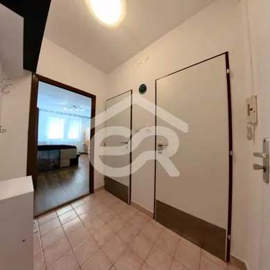 Na prenájom 1-izbový byt, 24 m², Nitra, Novomeského
