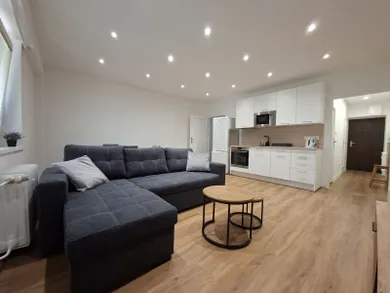 Na prenájom 1-izbový byt, 43 m², Bratislava-Nové Mesto, Šancová