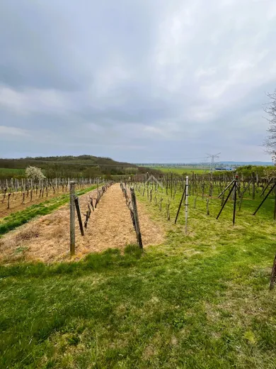 Na predaj 2-izbový rekreačný dom, Podlužany