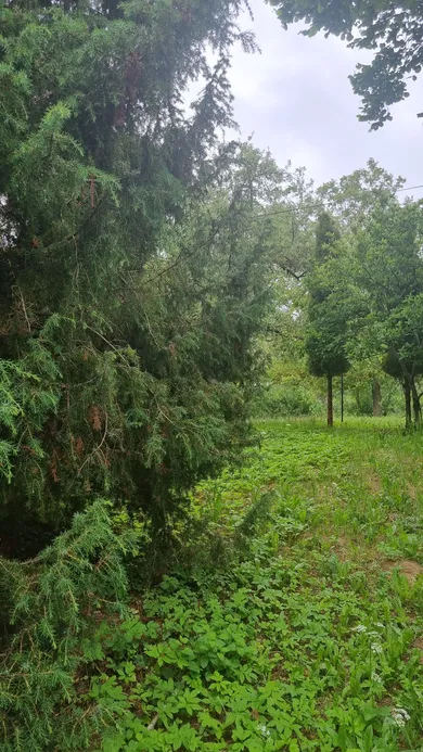 Na predaj dom v Myjava · €45 000 · Čiastočná rekonštrukcia
