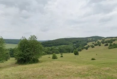 Na predaj pozemok, Drietoma