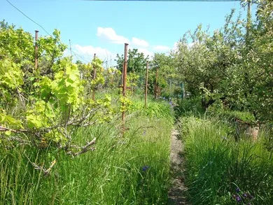 Na predaj pozemok, 400 m², Košice-Sever, Na Kalvárii