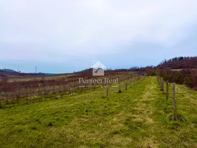 Na predaj pozemok, Pezinok, Fajgalská cesta