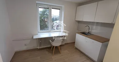 Na predaj 1-izbový byt, 30 m², Nová Dubnica