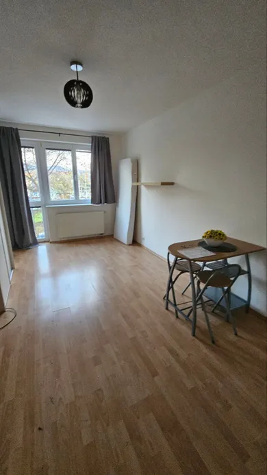 Na prenájom 1-izbový byt, 28 m², Žilina, Rosinská