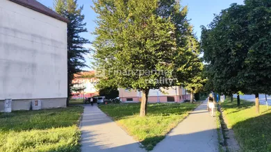 Na prenájom 2-izbový byt, 53 m², Humenné, Ševčenkova