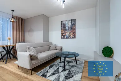 Na prenájom 1-izbový byt, 40 m², Košice-Západ, Bernolákova