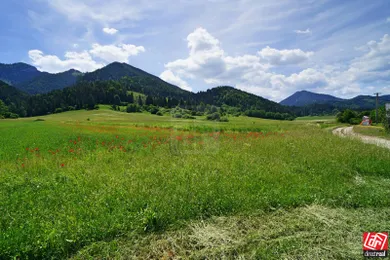 Na predaj pozemok, Lazisko