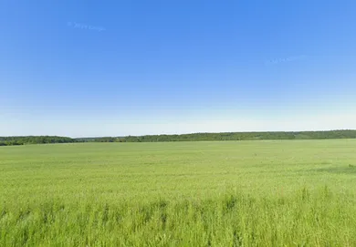 Na predaj pozemok, Bunetice