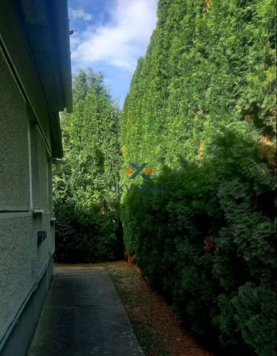 Na predaj dom, 110 m², Nová Ves nad Žitavou, 1 mája