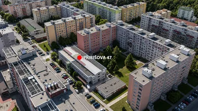 Na prenájom komerčné, 15 m², Bratislava-Karlova Ves, Pribišova