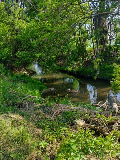 Na predaj pozemok, Bošáca