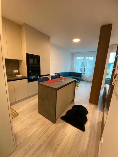 Mieszkania na wynajem, 2-pokojowe, Bratislava-Devínska Nová Ves · €650