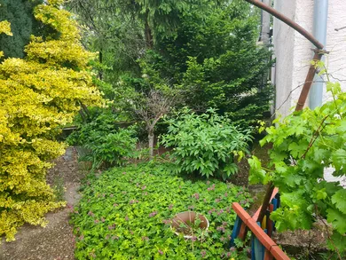 Na predaj dom, 551 m², Marcelová, Agátová