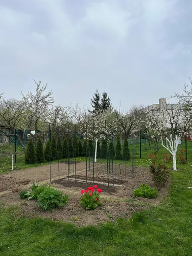 Na predaj pozemok, 321 m², Piešťany, Komenského