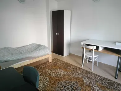 Na prenájom 1-izbový byt, 30 m², Košice-Staré Mesto, Masarykova