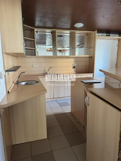 Na prenájom komerčné, 161 m², Šaľa, Slnečná