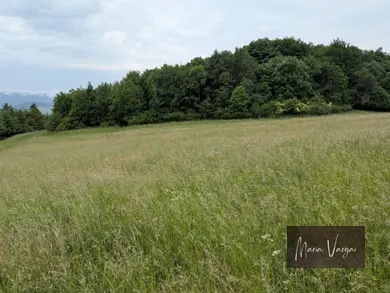 Na predaj pozemok, Lipany