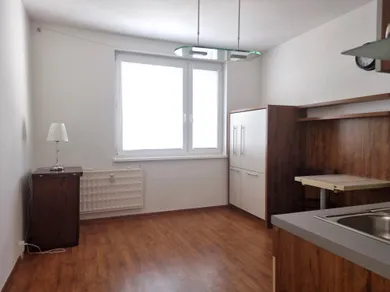 Na prenájom 1-izbový byt, 38 m², Nitra, Petzwalova