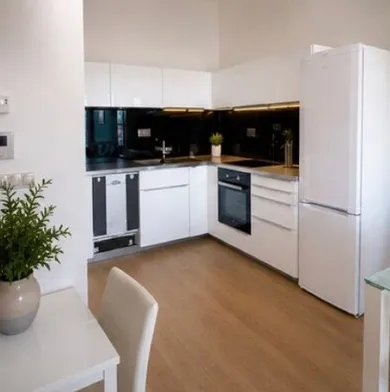 Na prenájom 2-izbový byt, 60 m², Bratislava-Staré Mesto, Landererova