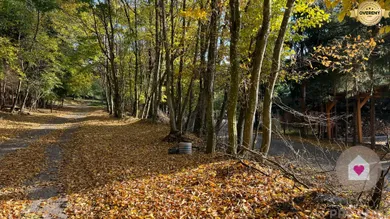 Na predaj pozemok, 100 m², Borinka