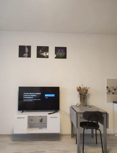 Na prenájom 1-izbový byt, 18 m², Košice-Staré Mesto, Magurská