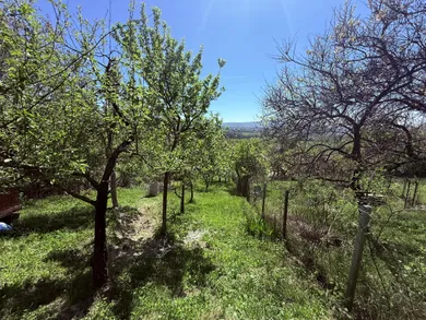Na predaj pozemok, Stupava