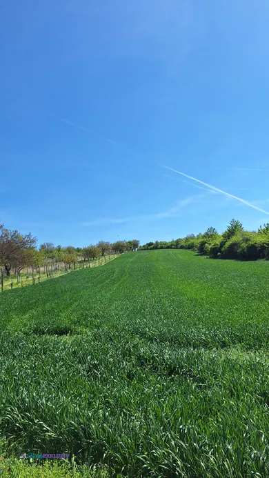 Na predaj rekreačný dom, 40 m², Šalov