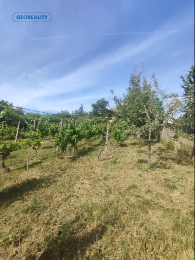 Na predaj 2-izbový rekreačný dom, 218 m², Levice, Stare Levice