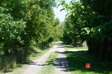 Na predaj rekreačný dom, 130 m², Hrubý Šúr