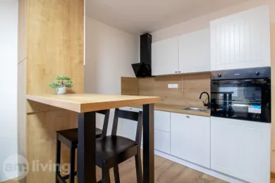 Na prenájom 1-izbový byt, 25 m², Dubnica nad Váhom, Centrum I.