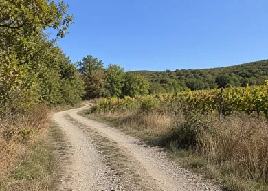 Eladó lakások, 1-szobás, Bratislava-Nové Mesto · €37 000