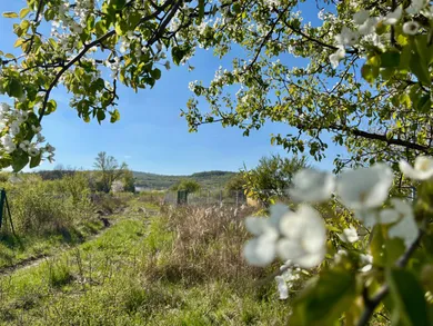 Działki na sprzedaż, Pezinok · €69 000