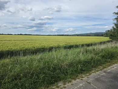 Na predaj pozemok, Bratislava-Záhorská Bystrica, Kútska