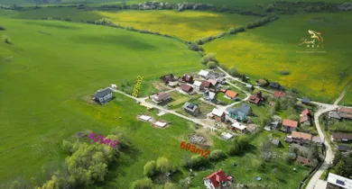 See details