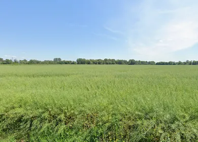 Na predaj pozemok, Ložín
