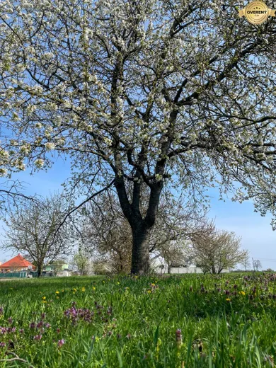 Na predaj pozemok, Veľká Paka