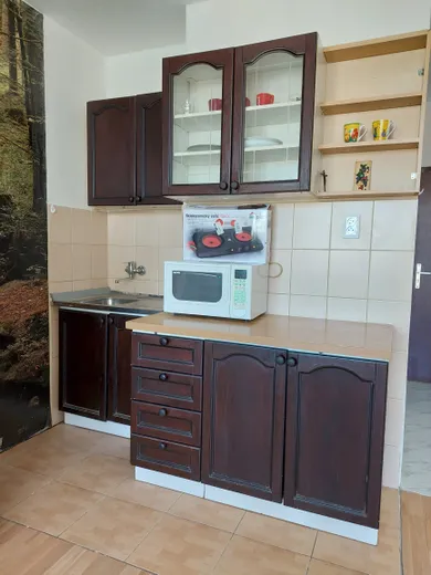 Na prenájom 1-izbový byt, 23 m², Košice-Západ, Považská