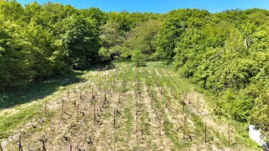 Na predaj pozemok v Vinné · €27 680 · Pôvodný stav