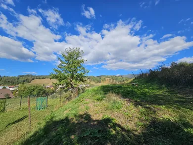Na predaj 3-izbový dom, 175 m², Pohronská Polhora
