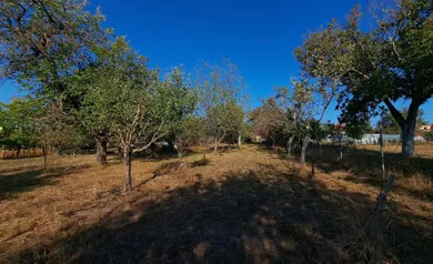 Na predaj dom, 541 m², Nová Dedina