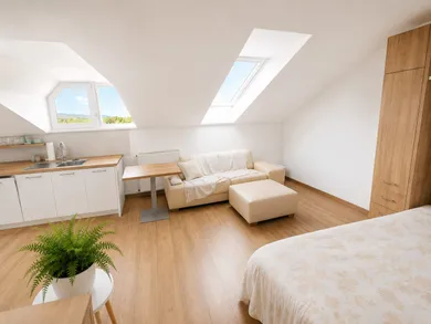 Na prenájom 1-izbový byt, 30 m², Bratislava-Nové Mesto, Pluhová