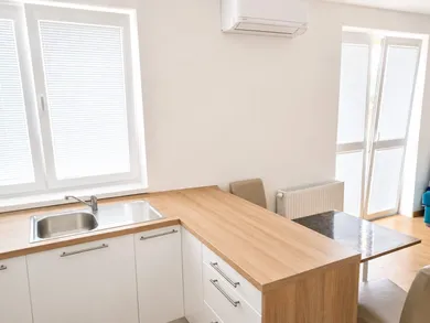 Na prenájom byt v Bratislava-Nové Mesto · €520 · Novostavba