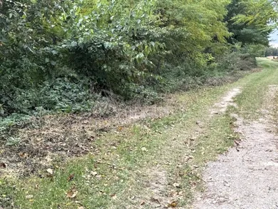 Na predaj pozemok, Jahodná