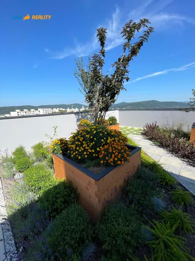 Na prenájom 1-izbový byt, 38 m², Považská Bystrica