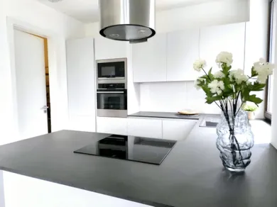 Na prenájom 2-izbový byt, 67 m², Bratislava-Staré Mesto, Hriňovská
