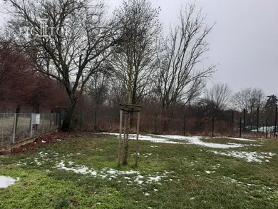 Na prenájom pozemok, Košice-Šaca