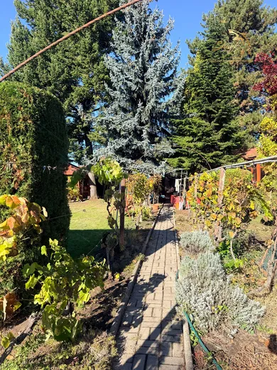 Na predaj rekreačný dom, 20 m², Levice, Mestský Majer