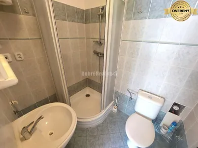 Na prenájom 1-izbový byt, 20 m², Banská Bystrica, Štefana Moyzesa