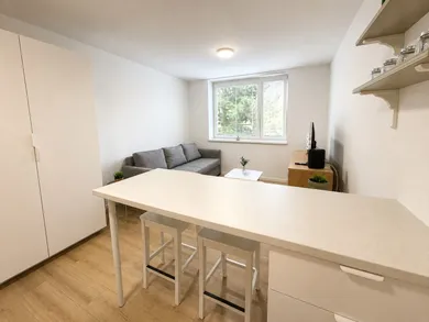 Na prenájom 1-izbový byt, 26 m², Zlaté Moravce, Krátka